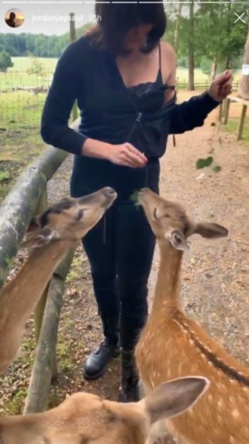 Jordan posted this picture of Daisy feeding some deer