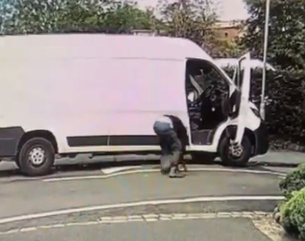 A van was seen stopping and a man took Buzz away on Tanya's footage