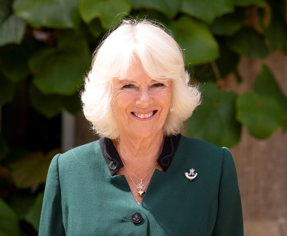 Camilla was recognised as the new Colonel-in-Chief this afternoon