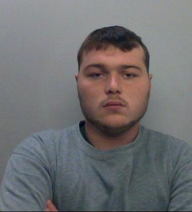 Henry Long, 19, had previously pleaded guilty to manslaughter