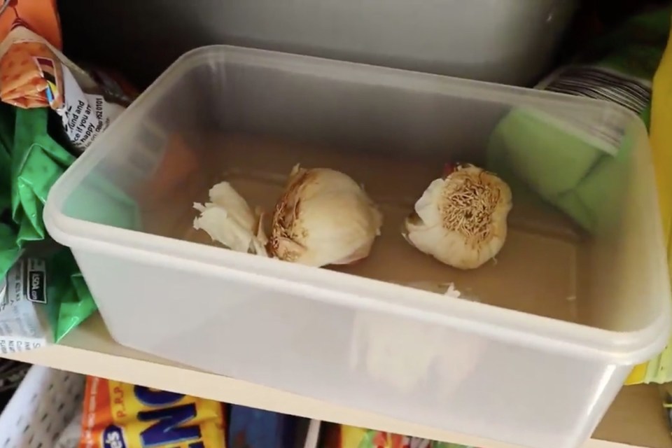 You can store garlic in the dark to make it last longer