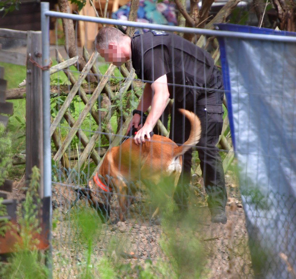 Sniffer dogs were also used in the search