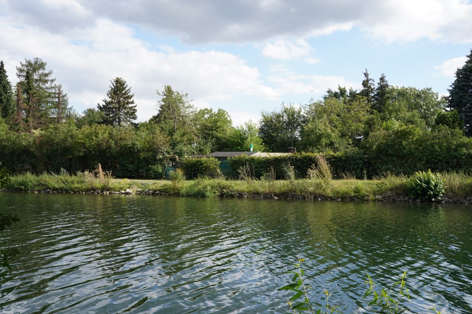 The river at the back of the allotments is also being searched 