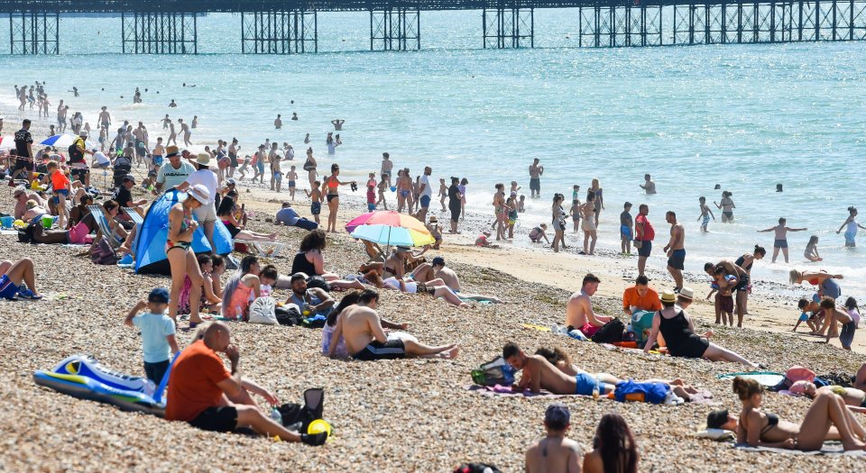 A brave few head in for a dip at Brighton beach