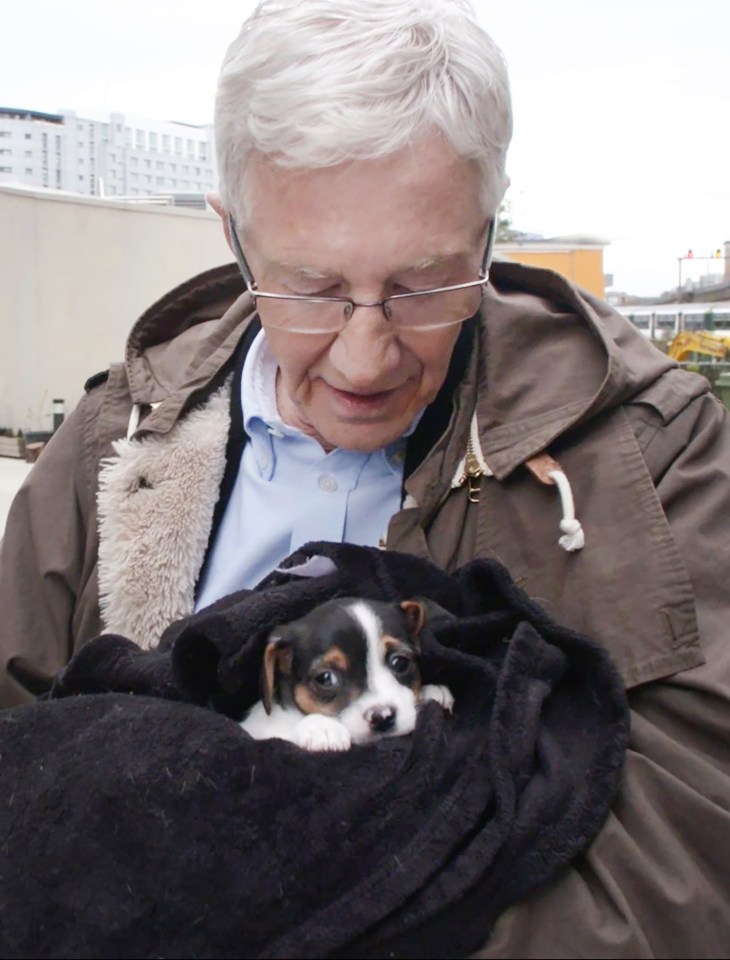 He has been known to rehome a few pooches himself