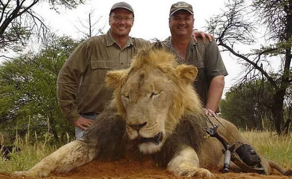 Palmer was known as 'the most hated man on earth' after killing Cecil the lion in a national park in 2015