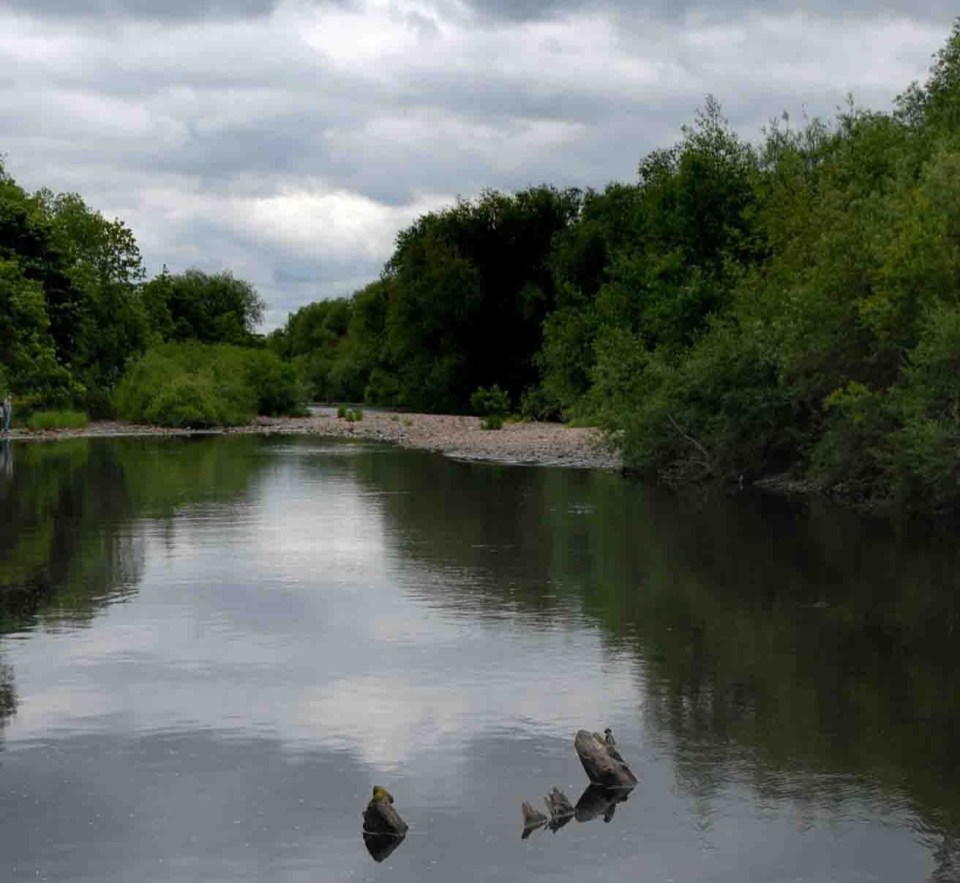 The two brothers were swimming in the River Tees in Darlington, County Durham