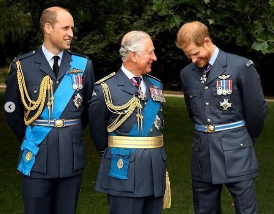 William, Charles and Harry shared a special moment at an RAF event