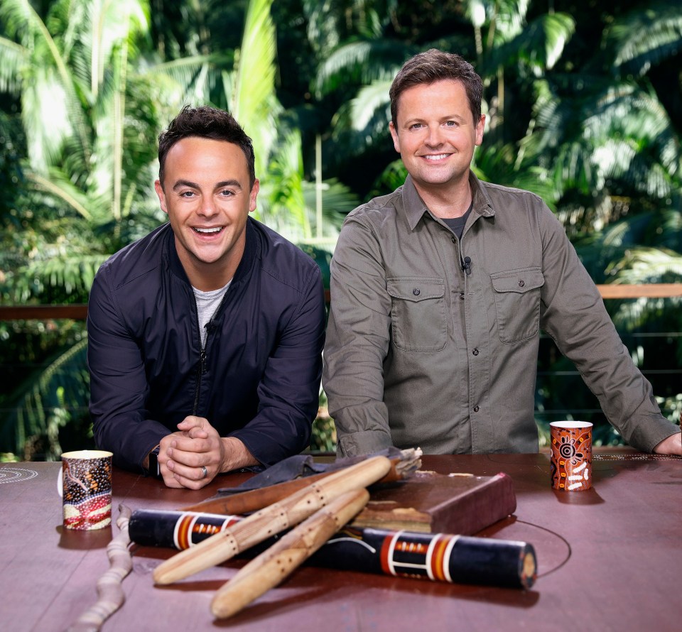 Like many of us, Ant McPartlin and Dec Donnelly are staying at home