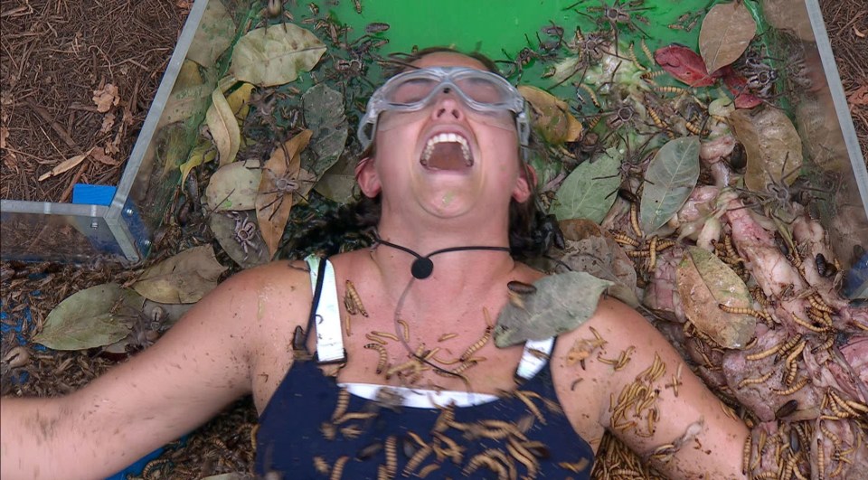 Instead of battling jungle critters, this year's I'm A Celeb contestants will face cold and wet weather