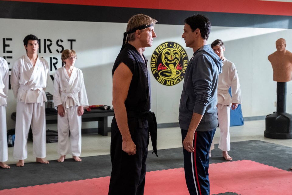 Johnny now stars in Karate Kid spin-odd show Cobra Kai alongside Ralph Macchio