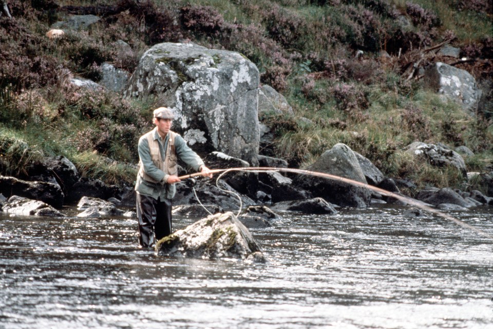 An abundance of trout and occasional salmon are caught in the River Dee