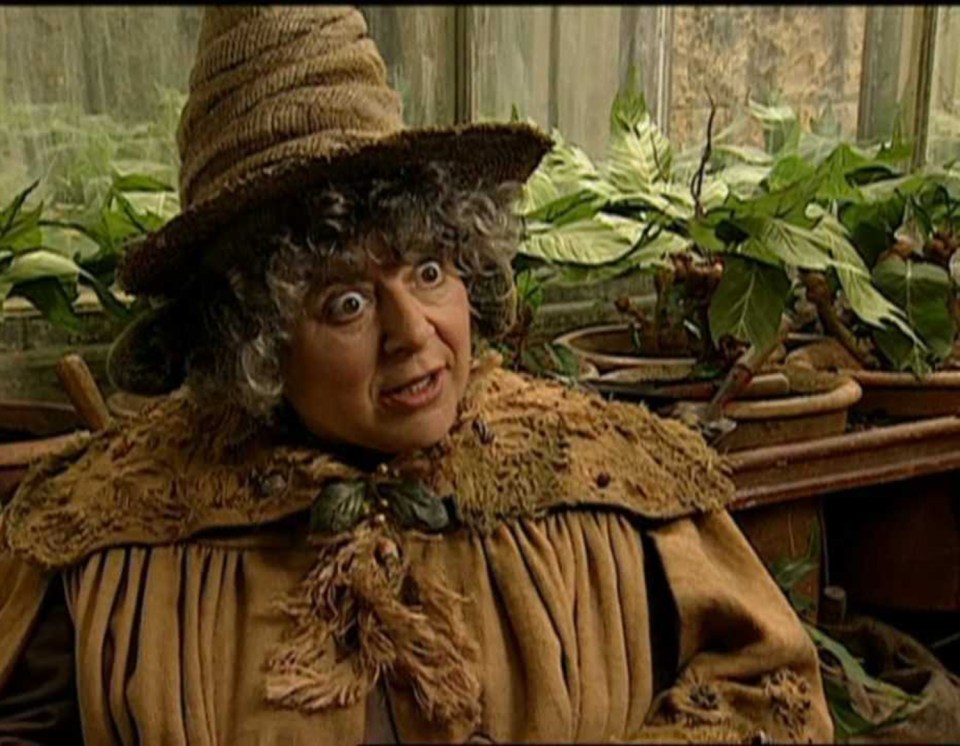 Miriam Margoyles has confessed she doesn't like Harry Potter despite playing teacher Professor Pomona Sprout in the hugely successful movies