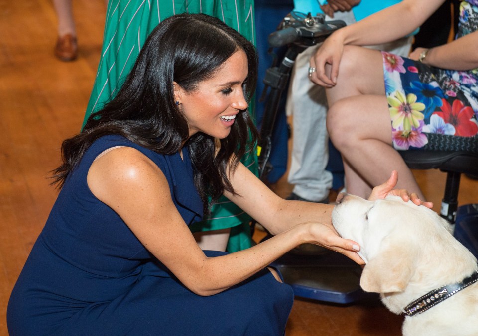 Meghan is a known dog lover – Pula not pictured