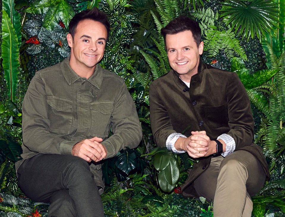 Ant McPartlin and Dec Donnelly, both 44, who are celebrating 20 years at the helm of the hit entertainment series, will return to host this autumn