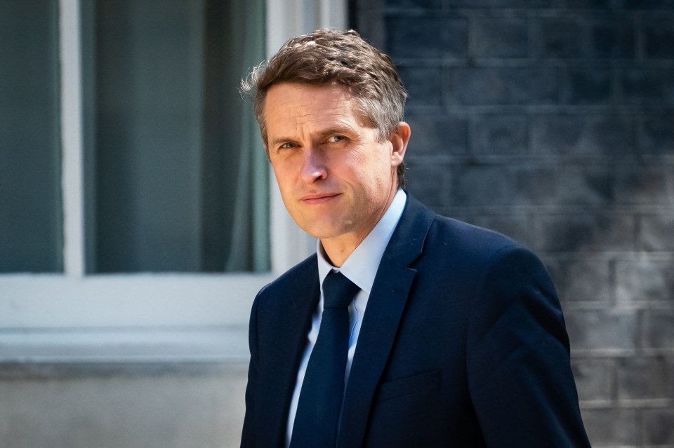 Gavin Williamson told the BBC he ‘apologises to every single child right across the country’