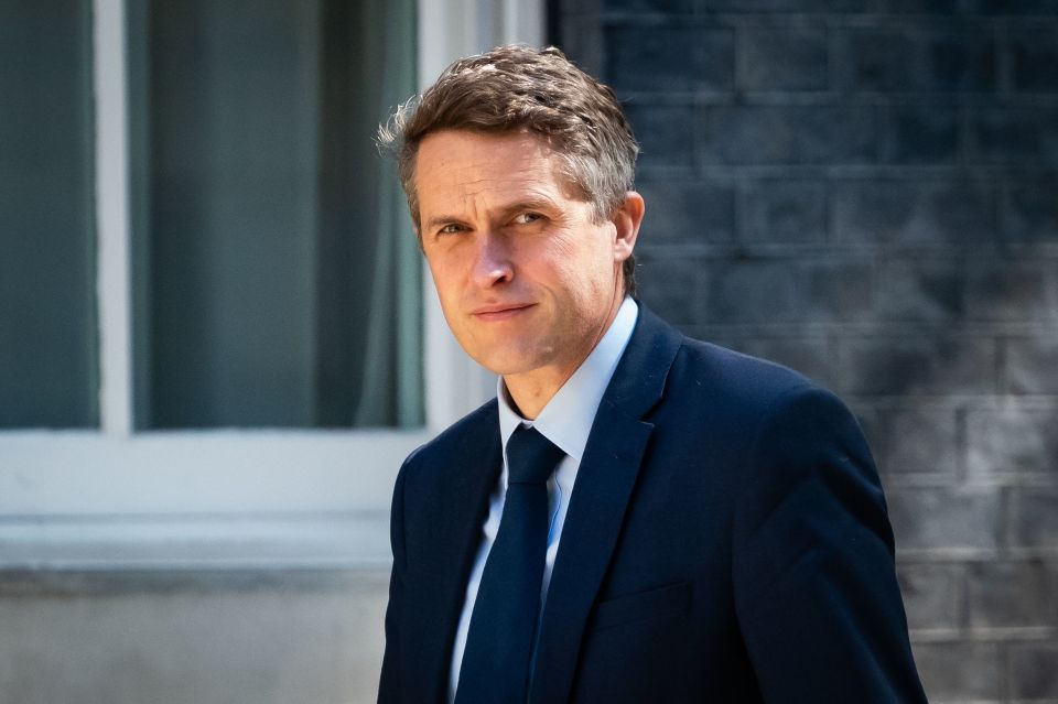 Gavin Williamson told the BBC he 'apologises to every single child right across the country'