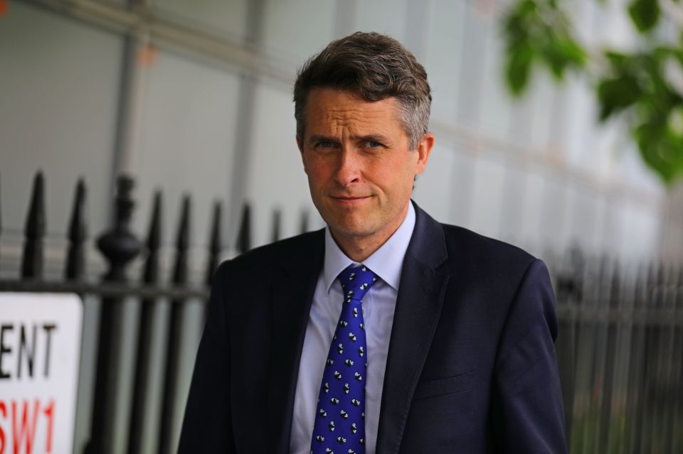 Education Secretary Gavin Williamson said the government will cover the cost of appeals