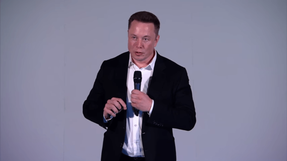 Neuralink is funded by billionaire Tesla boss Elon Musk