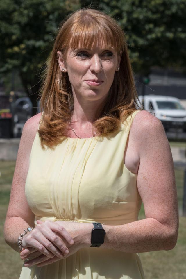 Deputy Labour leader Angela Rayner hit the airwaves demanding teacher’s predicted grades are used just months after she said they could not be trusted