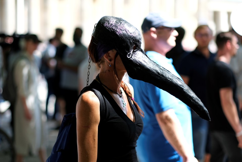 A demonstrator is pictured wearing an unusual mask at the protest this afternoon