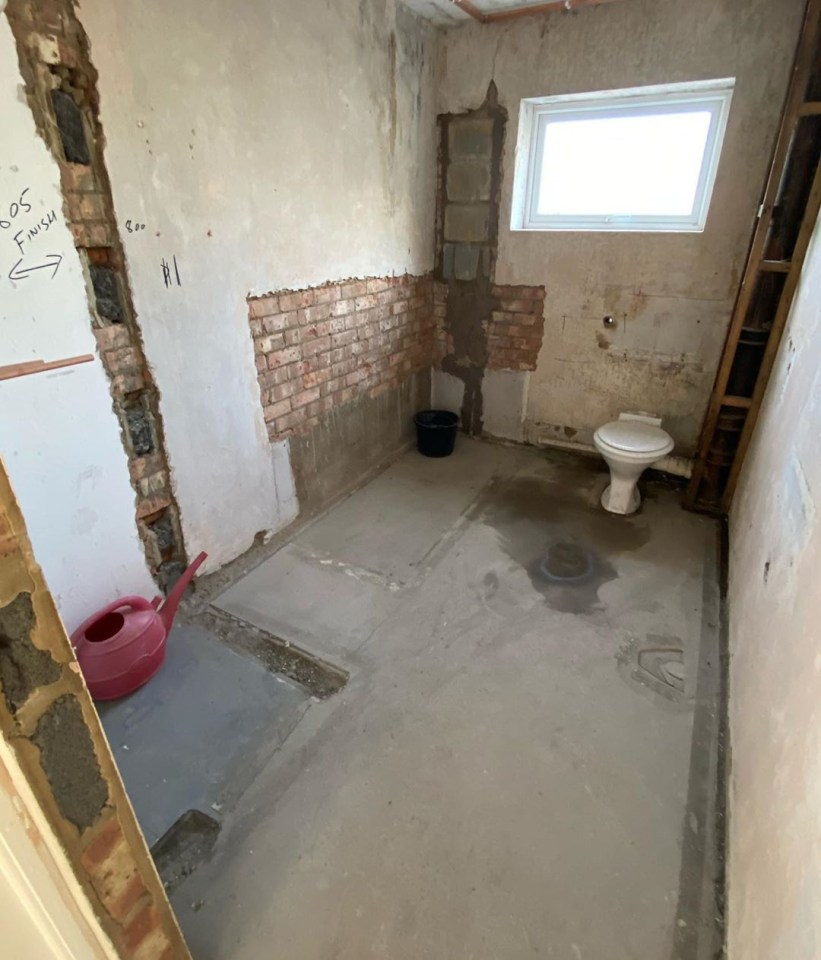 Lucy Mecklenburgh showed her Instagram followers a 'before' image of her completely gutted bathroom in a home she owns