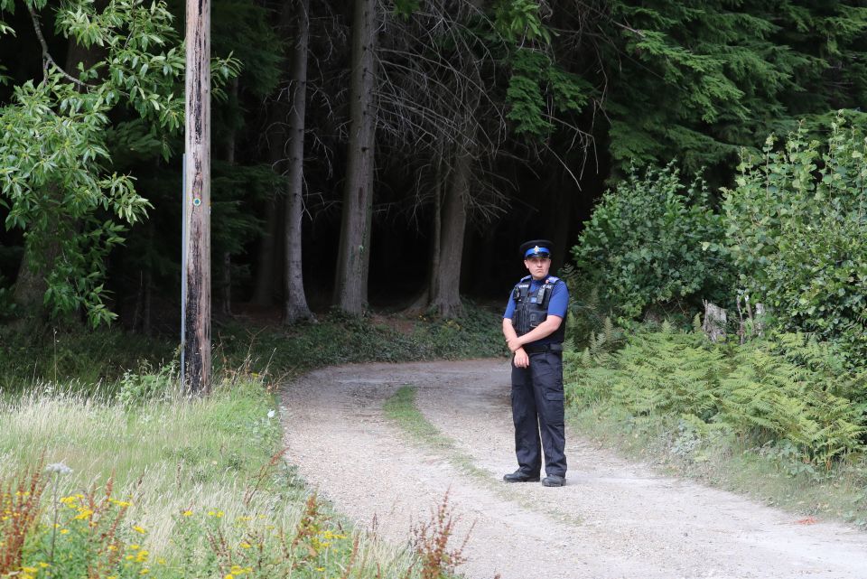 A pilot was killed when his light aircraft crashed in an East Sussex field today