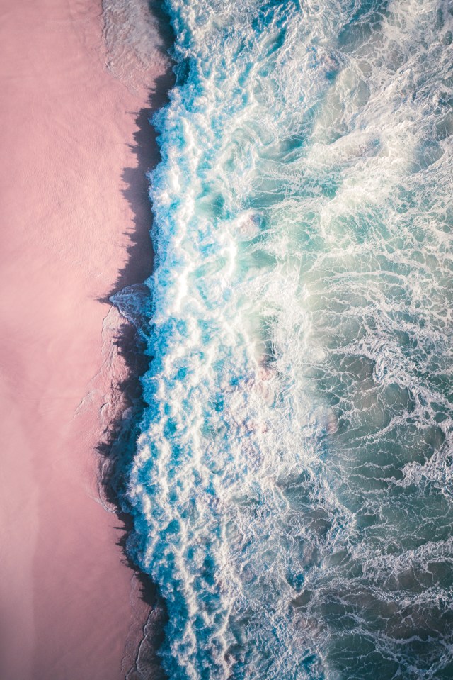 A beautiful wave as the sun rises over the pink sand beach