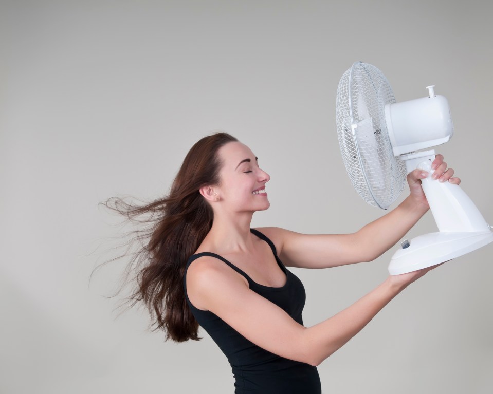 Place two frozen bottles in front of your fan to create an air con system 