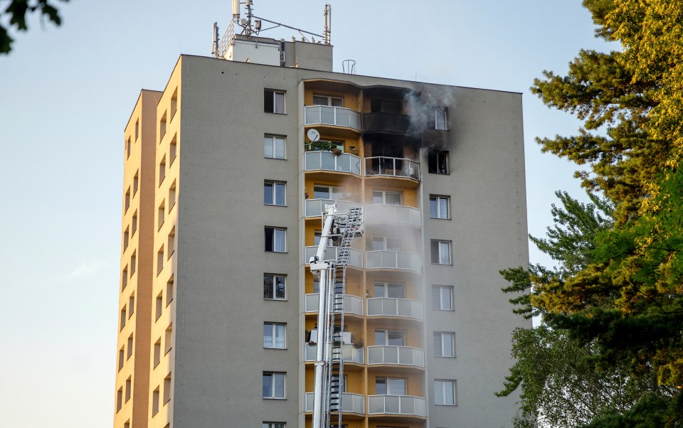 Eleven people died when a fire tore through a 13-storey building in the Czech Republic