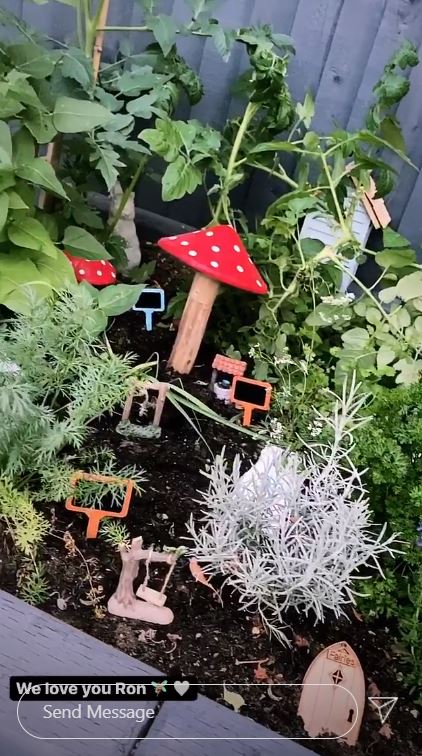 Meanwhile she picked up some cute fairy garden accessories for Ronnie's vegetable patch