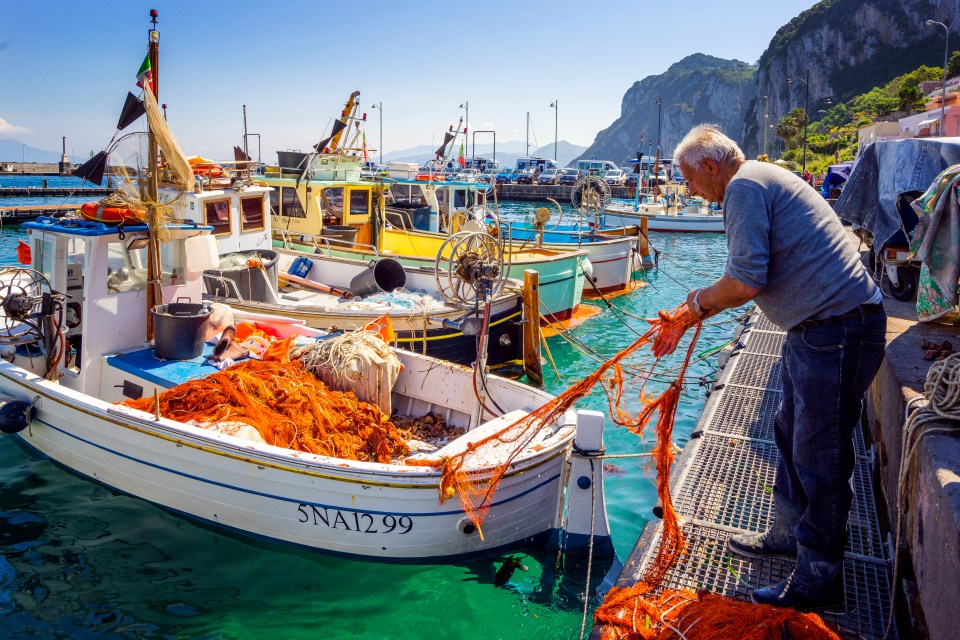 Tour guides in Capri charge a fee for navigating them, but you can do it alone