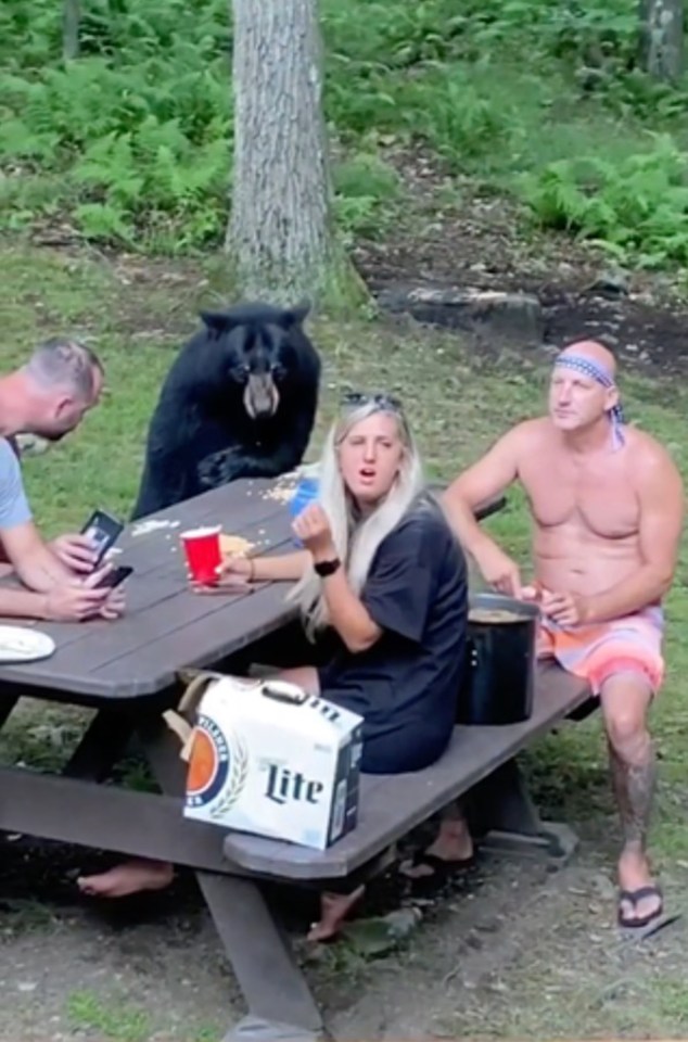 The family enjoying their picnic in Maryland woods were joined by a surprise guest