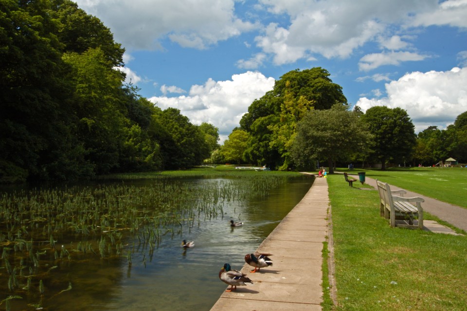 A 13-year-old boy was arrested under suspicion of raping a teenage girl in Rye Park in High Wycombe, Buckinghamshire