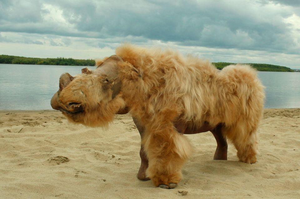 This partially preserved Siberian woolly rhino shows the species had yellowish fur