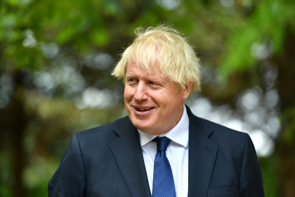 Boris Johnson says he has confidence in Gavin Williamson