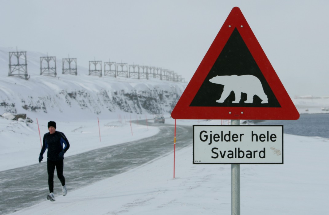 Norway is famous for its glaciers and polar bears