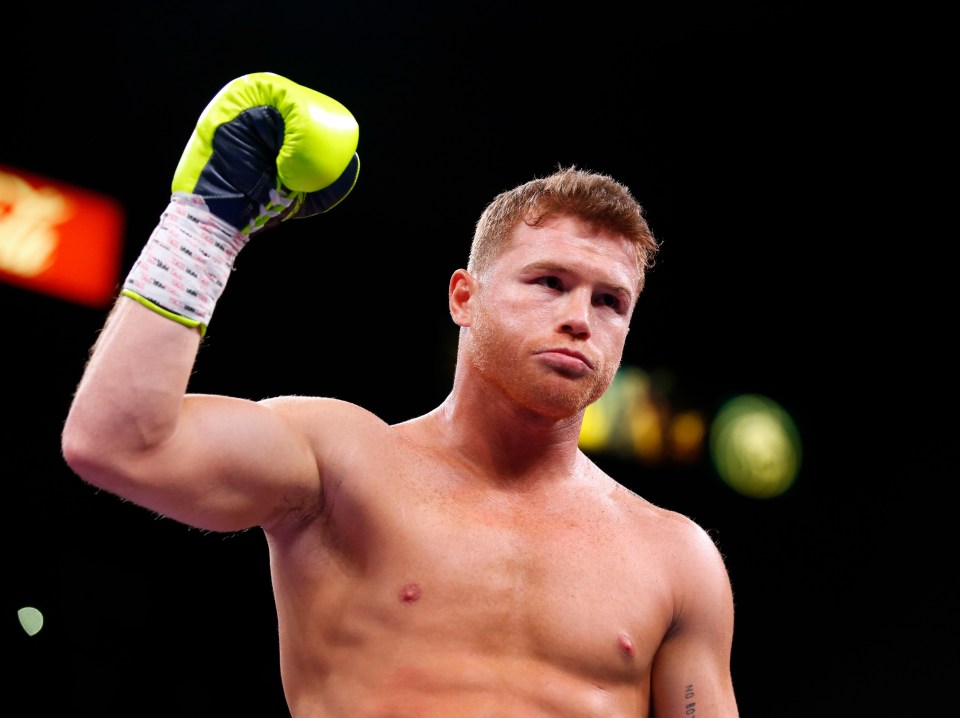 Four-weight world champ Canelo Alvarez wants to be back fighting in September