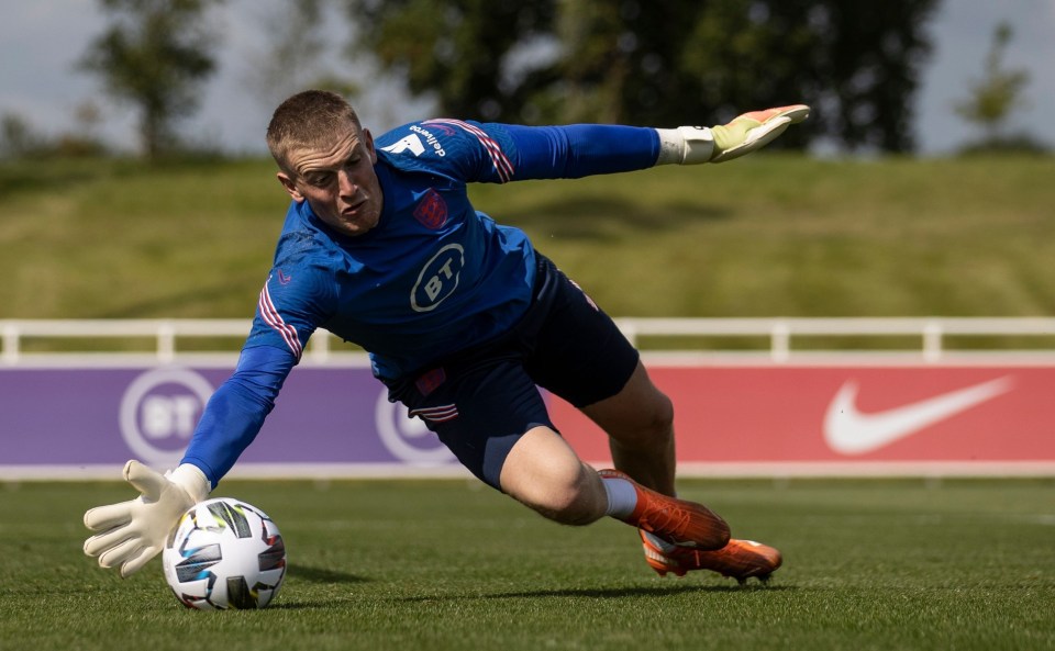 Jordan Pickford could be ousted between the sticks for England