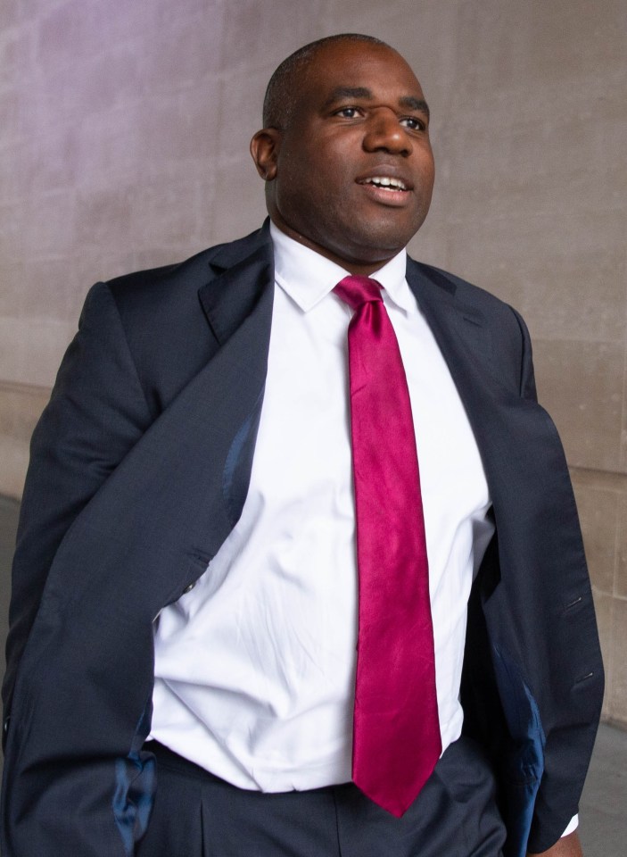 Shadow justice secretary David Lammy claimed students have been 'done over'