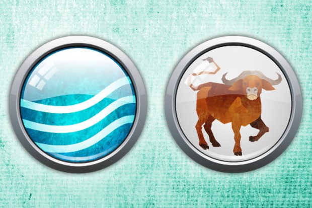 Chinese Zodiac - Water Ox