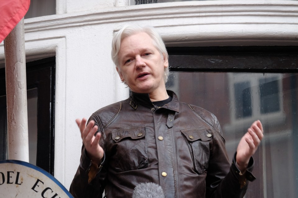 Julian Assange is at a 'high risk' of suicide, a psychiatrist says