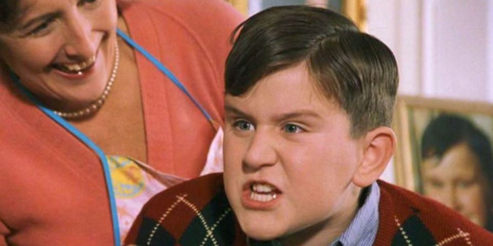 Harry played Dudley Dursley in the famous movie franchise