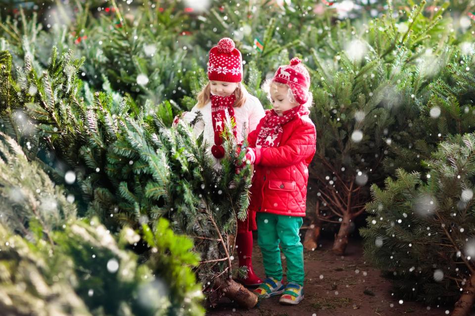 Kids can enjoy plenty of festive experiences if you go away this winter