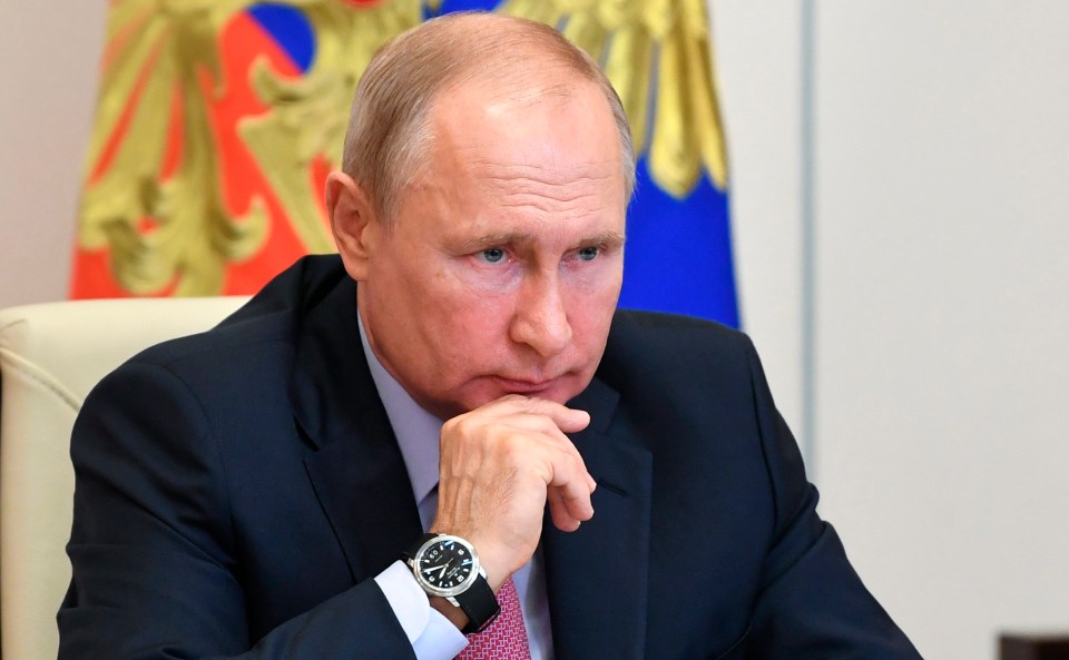 Vladimir Putin described the missile as 'a radically new type of weaponry'