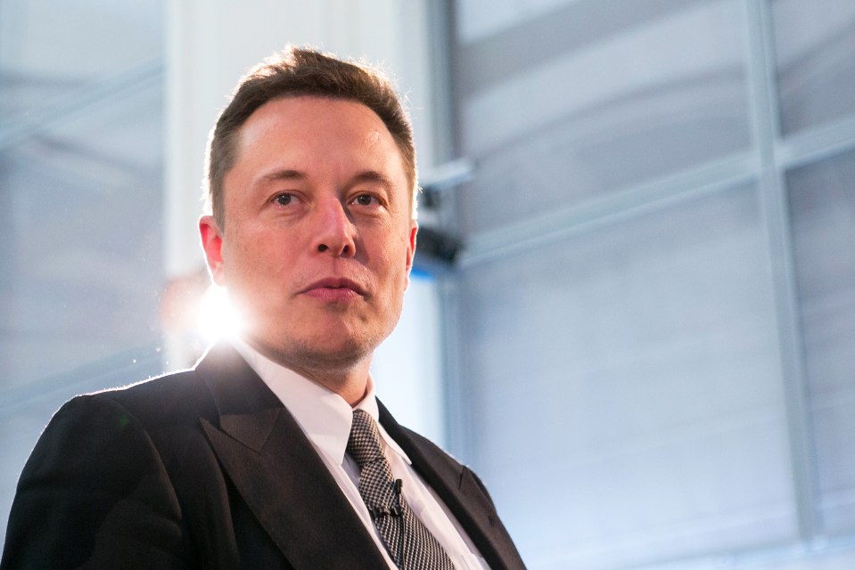 Elon Musk has warned that humanity must move to Mars to avoid extinction