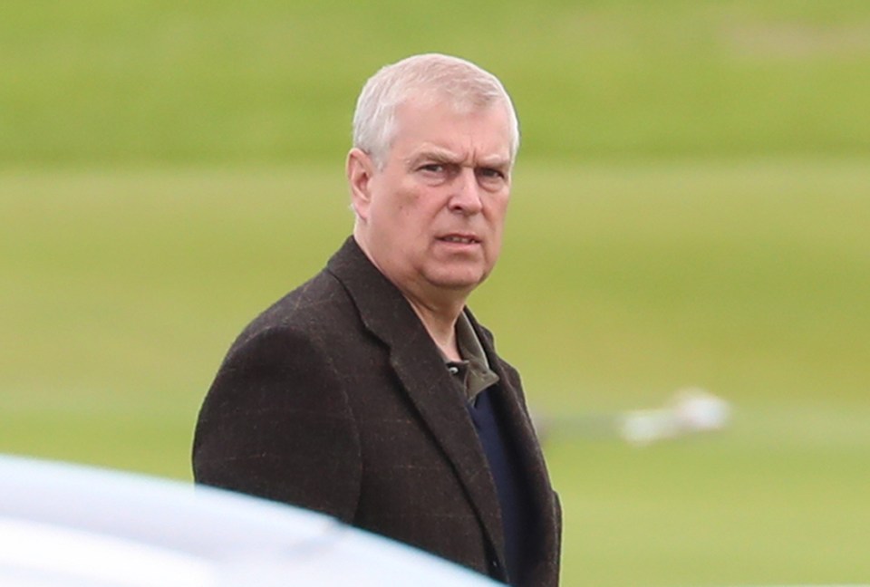 Prince Andrew caught a £16,000 taxpayer-funded private jet flight to watch a golf tournament