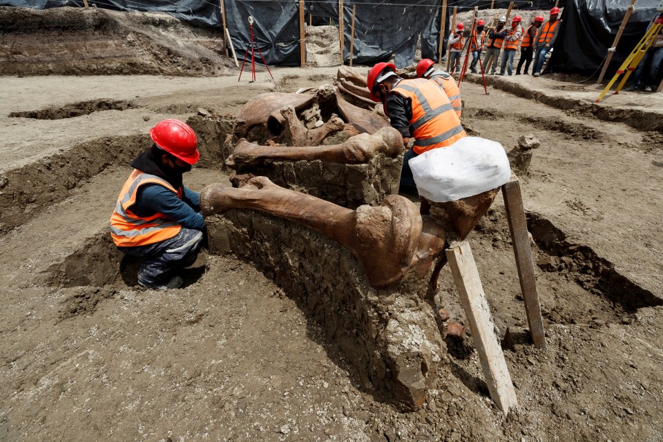 Archaeologists are still uncovering bones at the site north of Mexico City