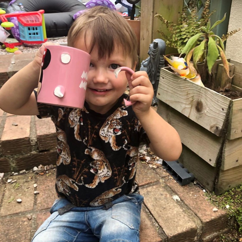 Three-year-old Romeo has even been caught smashing mugs