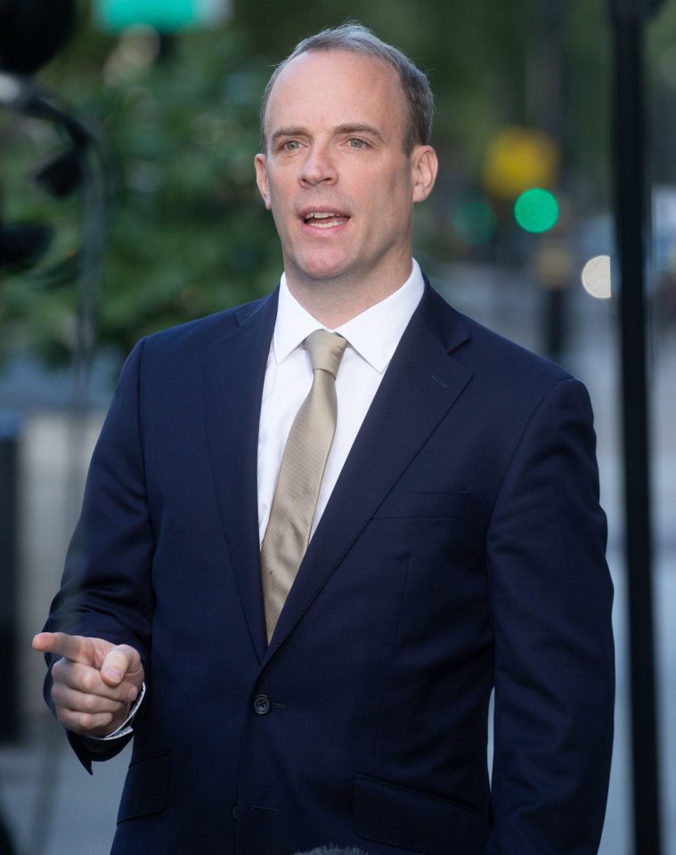 Dominic Raab admitted internal government rifts were delaying the publication of its state aid proposals